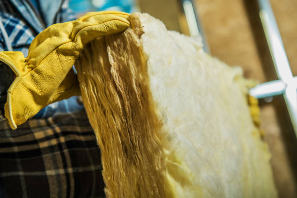 Best Eco-Friendly Insulation in Los Altos, CA